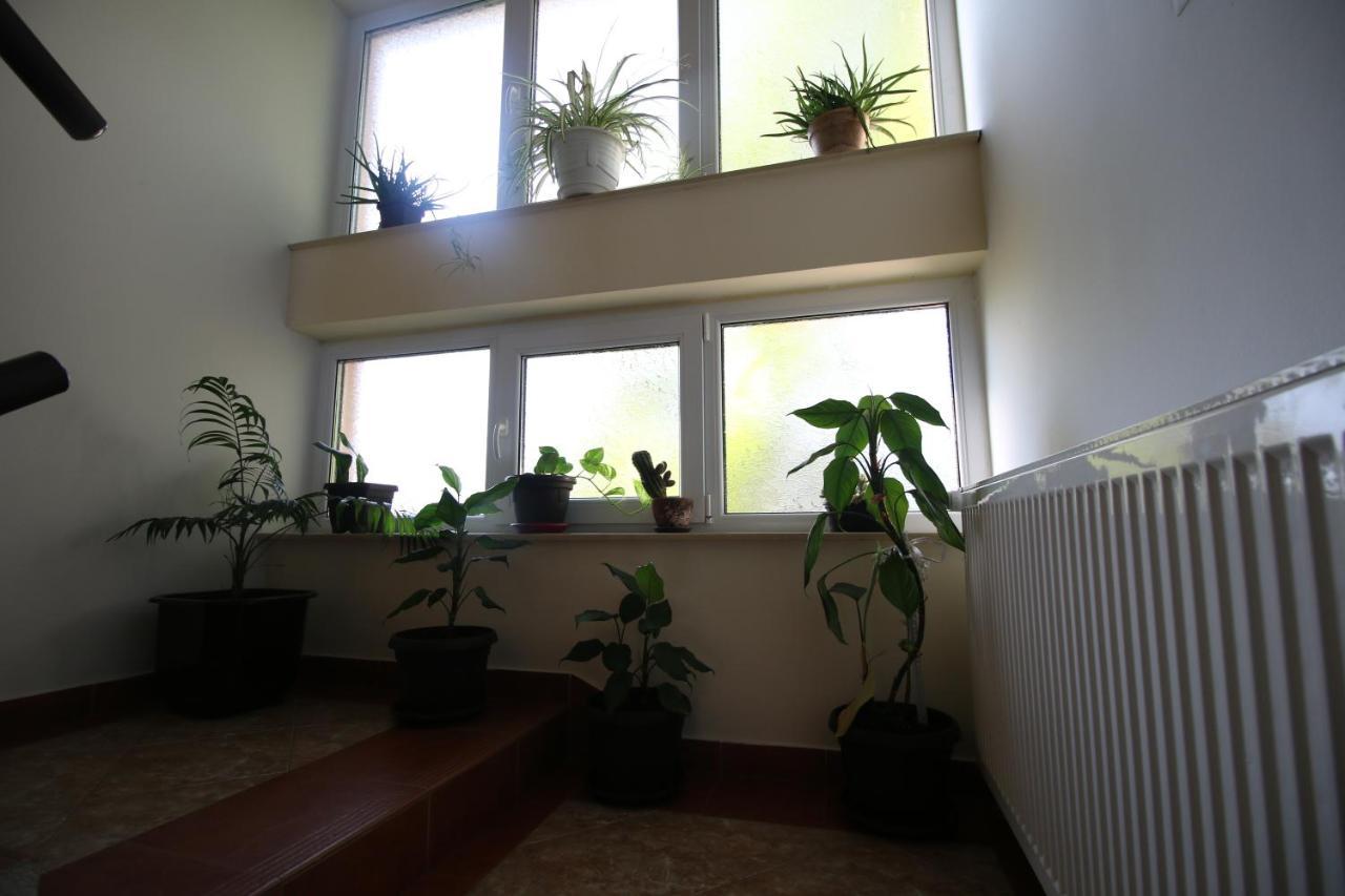 Hostel Teresianum Aleksinac Dış mekan fotoğraf